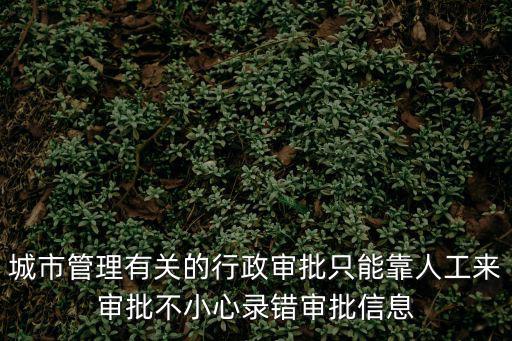 城市管理有關(guān)的行政審批只能靠人工來審批不小心錄錯審批信息