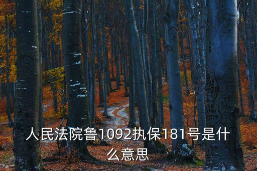 人民法院魯1092執(zhí)保181號是什么意思