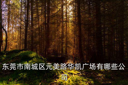 東莞市南城區(qū)元美路華凱廣場(chǎng)有哪些公司