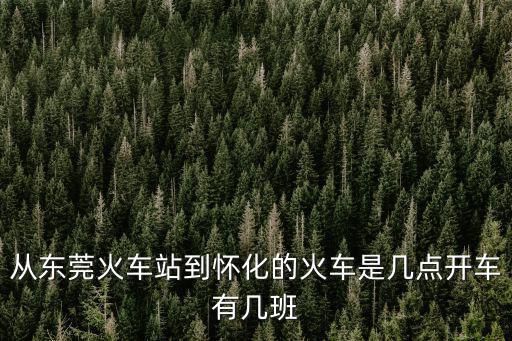 明天東莞到懷化的火車票有幾趟車，從東莞到懷化的火車票是多少呀