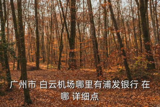 廣州市 白云機場哪里有浦發(fā)銀行 在哪 詳細點