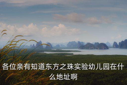深圳東方麗珠幼兒園，龍灣區(qū)東方明珠城有個新辦的幼兒園叫什么名字