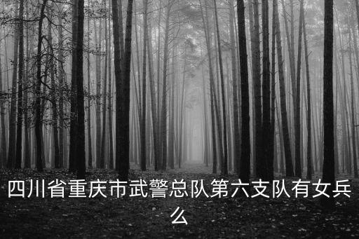 武警重慶市總隊綜合信息網，四川省重慶市武警總隊第六支隊有女兵么
