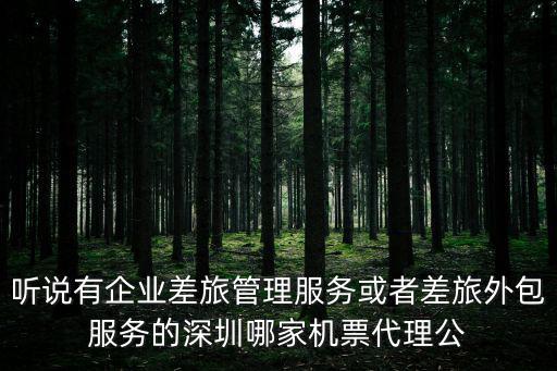聽說有企業(yè)差旅管理服務(wù)或者差旅外包服務(wù)的深圳哪家機(jī)票代理公