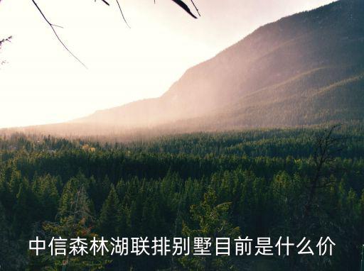 中信森林湖聯(lián)排別墅目前是什么價(jià)