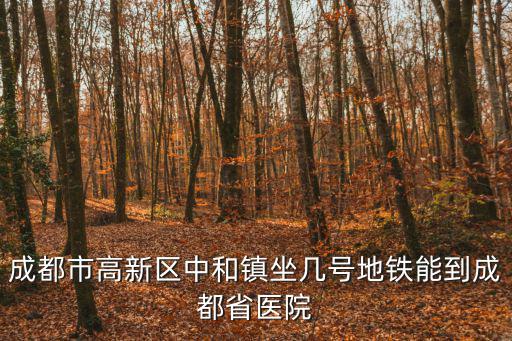 成都市高新區中和鎮坐幾號地鐵能到成都省醫院