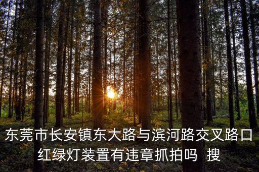 東莞市長安鎮(zhèn)東大路與濱河路交叉路口紅綠燈裝置有違章抓拍嗎  搜