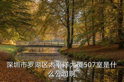 深圳市羅湖區太平洋大廈507室是什么公司啊