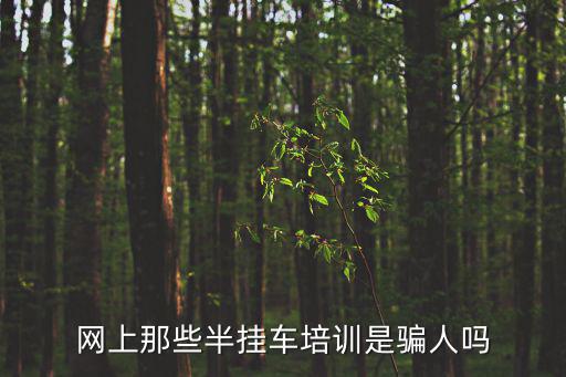 網上那些半掛車培訓是騙人嗎