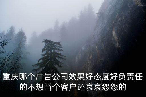 重慶哪個廣告公司效果好態度好負責任的不想當個客戶還哀哀怨怨的