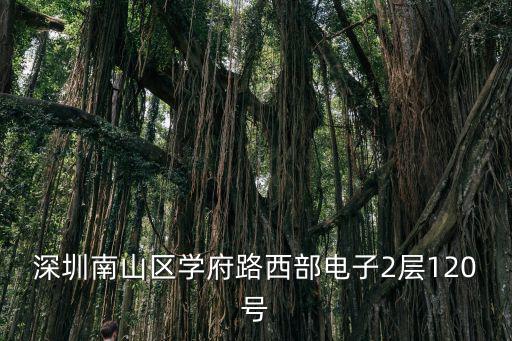 深圳南山區學府路西部電子2層120號