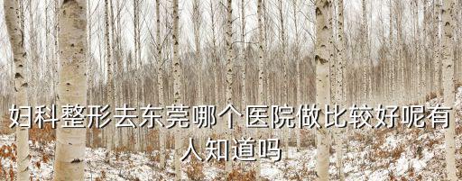 婦科整形去東莞哪個(gè)醫(yī)院做比較好呢有人知道嗎