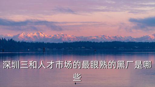 深圳市竹子林時裝廠 網站，深圳三和人才市場的最眼熟的黑廠是哪些