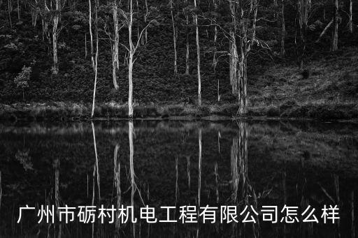 廣州市礪村機電工程有限公司怎么樣