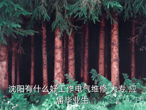 沈陽有什么好工作電氣維修 大專 應(yīng)屆畢業(yè)生