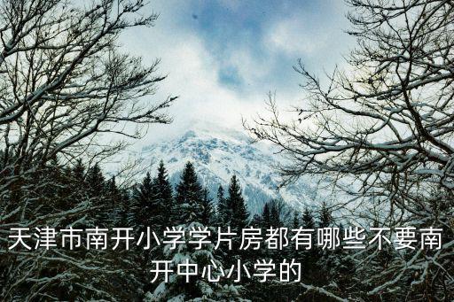 天津市南開小學學片房都有哪些不要南開中心小學的