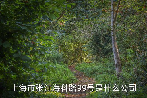 上海市委組織部 企業干部處，上海市張江?？坡?9號是什么公司
