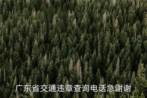 廣東省交通違章查詢電話急謝謝