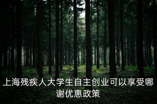 上海市最新創業扶持政策，上海殘疾人大學生自主創業可以享受哪謝優惠政策