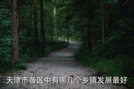 天津市各區中有哪幾個鄉鎮發展最好