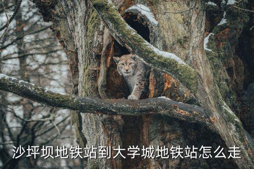 沙坪壩地鐵站到大學城地鐵站怎么走