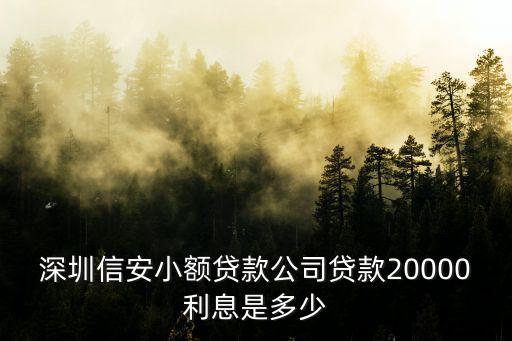 深圳信安小額貸款公司貸款20000利息是多少