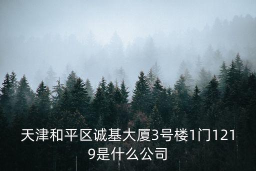 天津和平區誠基大廈3號樓1門1219是什么公司