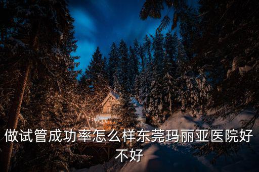 做試管成功率怎么樣東莞瑪麗亞醫院好不好
