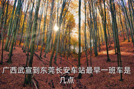 武宣有客車到東莞嗎，從廣西武宣坐車到東莞寮步車費查詢