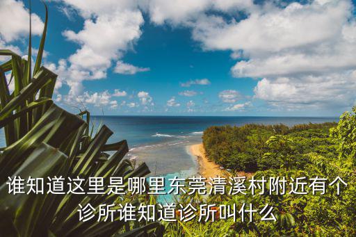 肺炎東莞確診病例是哪里的，東莞座機開頭2304屬于哪里