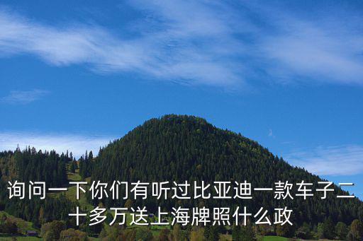 詢問一下你們有聽過比亞迪一款車子二十多萬送上海牌照什么政