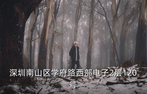 深圳南山區(qū)學(xué)府路西部電子2層120號