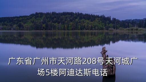 廣東省廣州市天河路208號天河城廣場5樓阿迪達斯電話