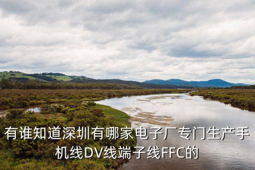 有誰知道深圳有哪家電子廠專門生產(chǎn)手機(jī)線DV線端子線FFC的