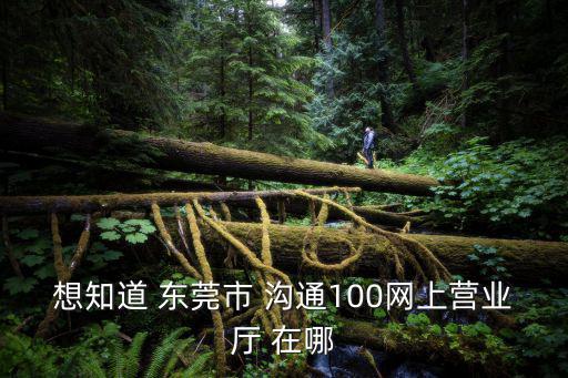 想知道 東莞市 溝通100網上營業廳 在哪