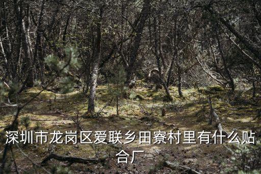 深圳市龍崗區愛聯鄉田寮村里有什么貼合廠