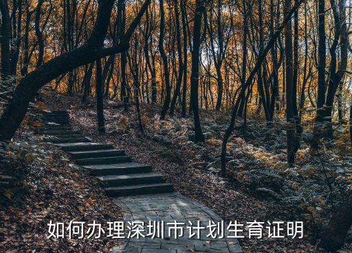 深圳入戶計(jì)生證明，深圳計(jì)劃生育證明在哪里辦