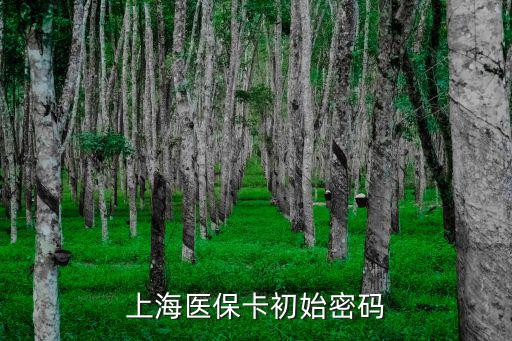 上海醫(yī)保卡初始密碼