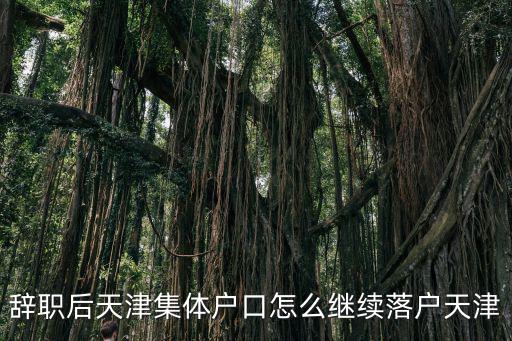 辭職后天津集體戶口怎么繼續落戶天津