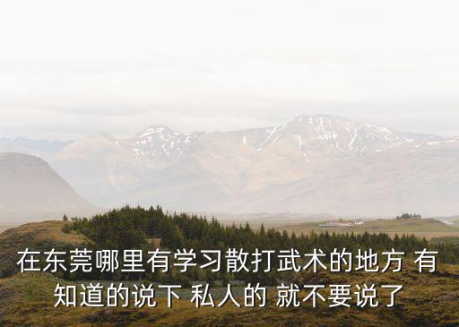 在東莞哪里有學習散打武術的地方 有知道的說下 私人的 就不要說了