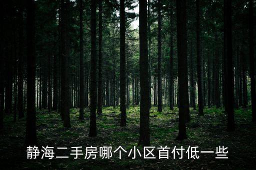 靜海二手房哪個小區首付低一些