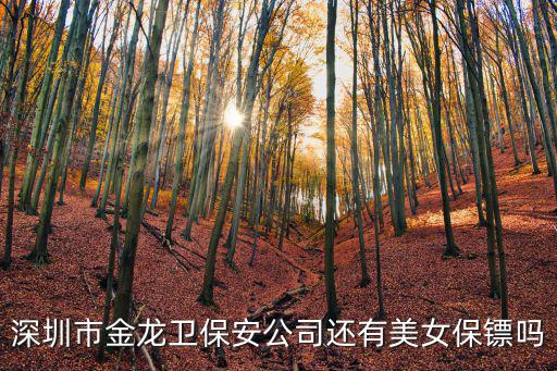 深圳市金龍衛保安公司還有美女保鏢嗎