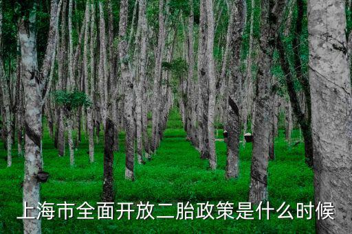上海市全面開放二胎政策是什么時候