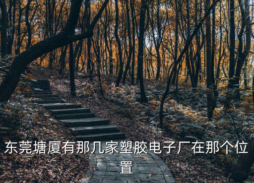 東莞塘廈有那幾家塑膠電子廠在那個位置
