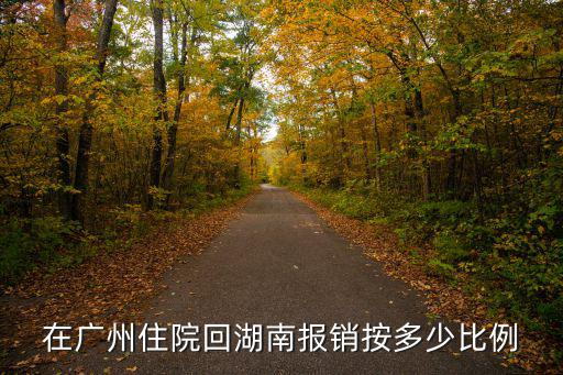 在廣州住院回湖南報(bào)銷按多少比例