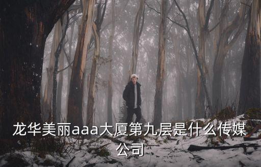 龍華美麗aaa大廈第九層是什么傳媒公司