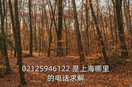 上海市數(shù)字認證中心電話，02125946122 是上海哪里的電話求解