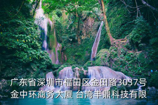 廣東省深圳市福田區(qū)金田路3037號金中環(huán)商務(wù)大廈 臺灣豐鼎科技有限