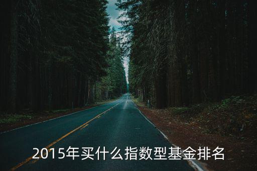 2015年買什么指數(shù)型基金排名