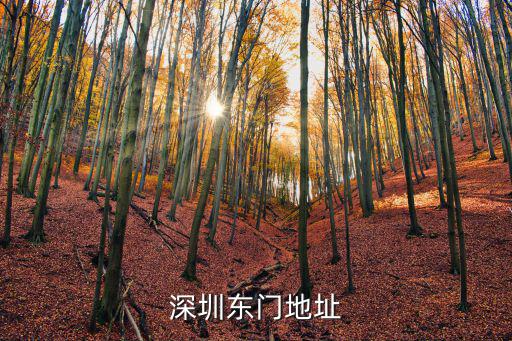深圳東門地址
